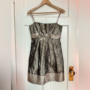 BCBG vintage champagne metallic cocktail party dress